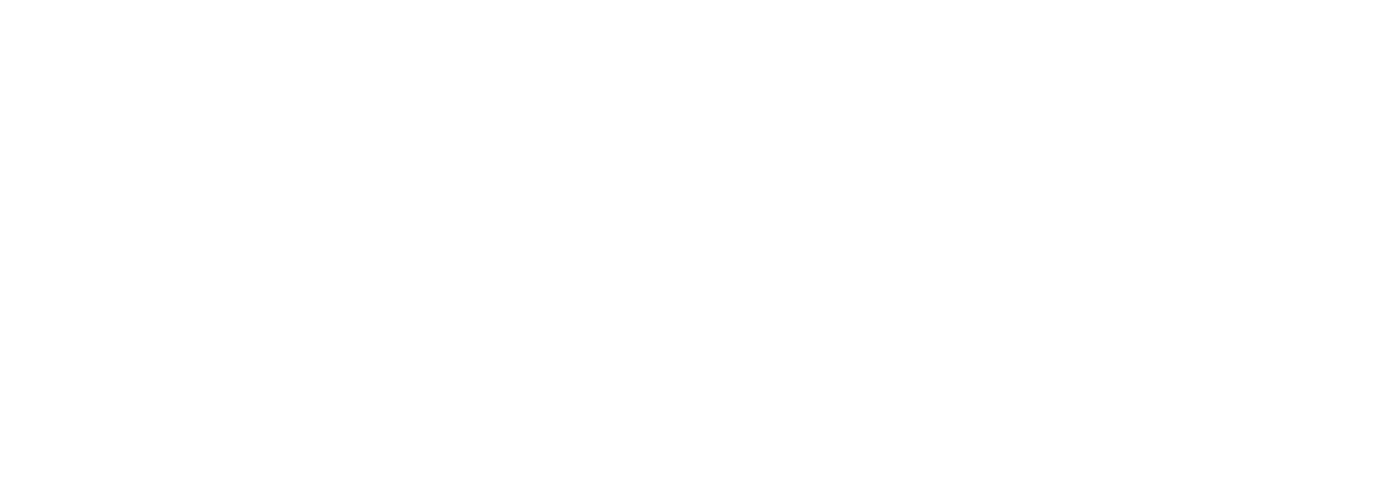 Lima Bus Internacional